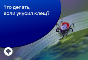 Социально - значимая информация от Хабаровский филиал АО «Страховая компания «СОГАЗ-Мед»